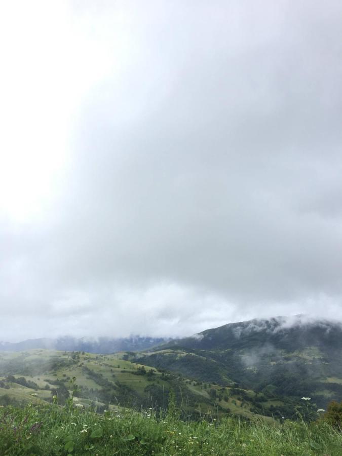 Садиба Between Mountains Mizhhirya  Dış mekan fotoğraf
