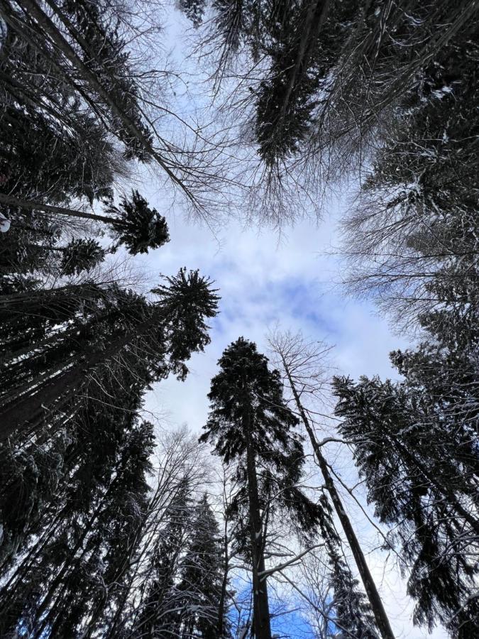 Садиба Between Mountains Mizhhirya  Dış mekan fotoğraf