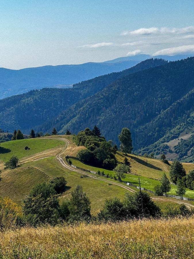 Садиба Between Mountains Mizhhirya  Dış mekan fotoğraf