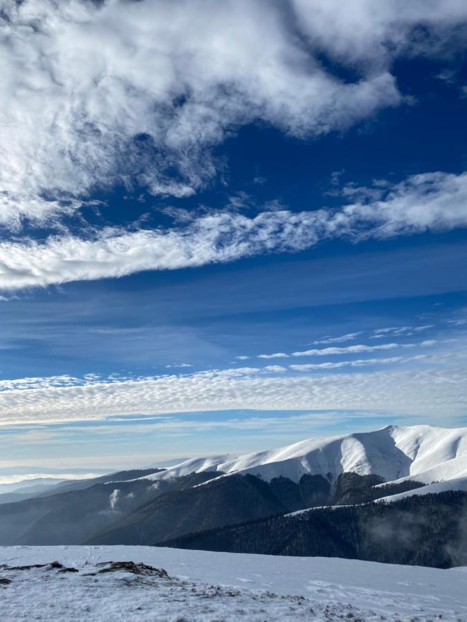 Садиба Between Mountains Mizhhirya  Dış mekan fotoğraf