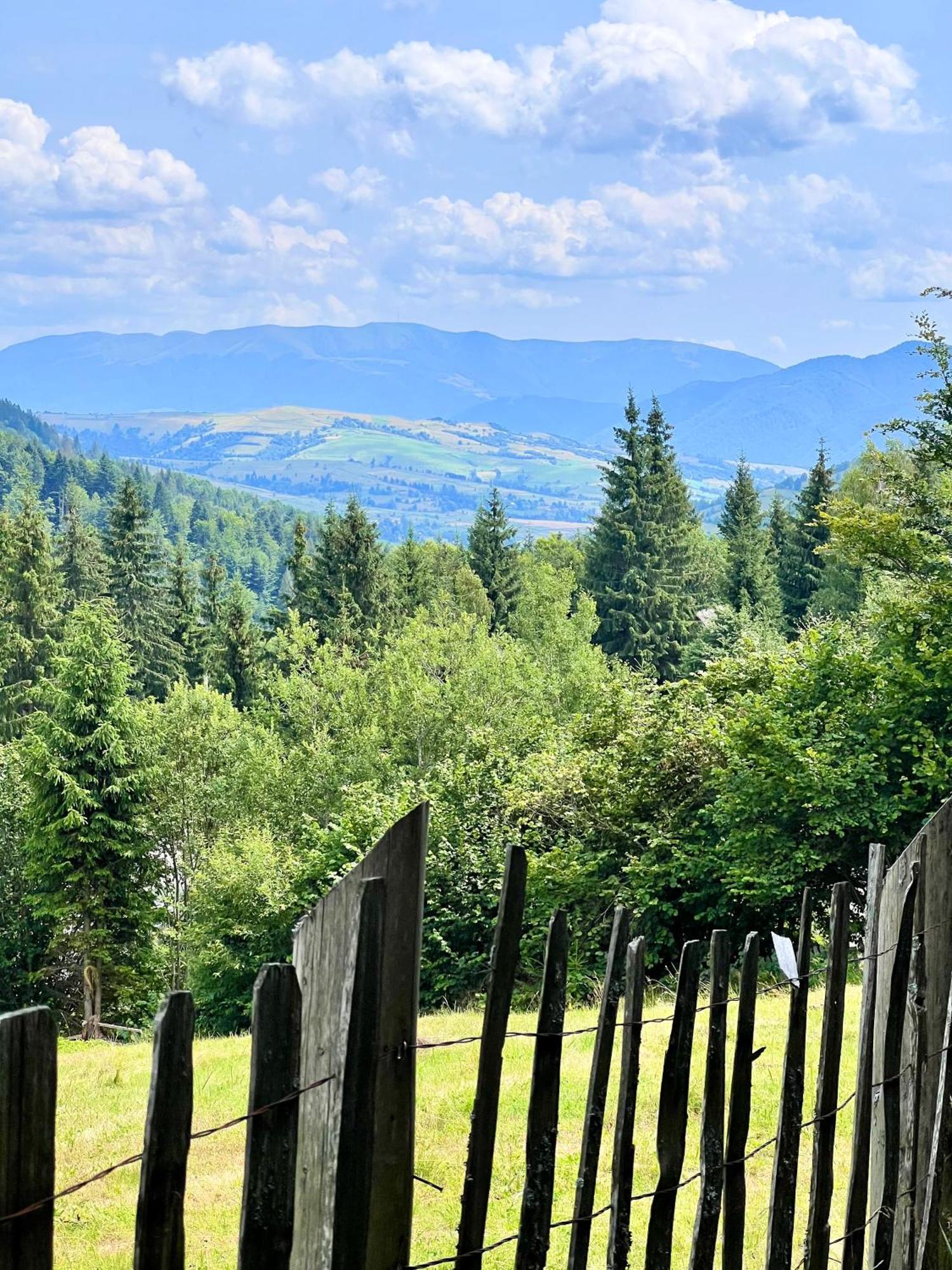 Садиба Between Mountains Mizhhirya  Dış mekan fotoğraf
