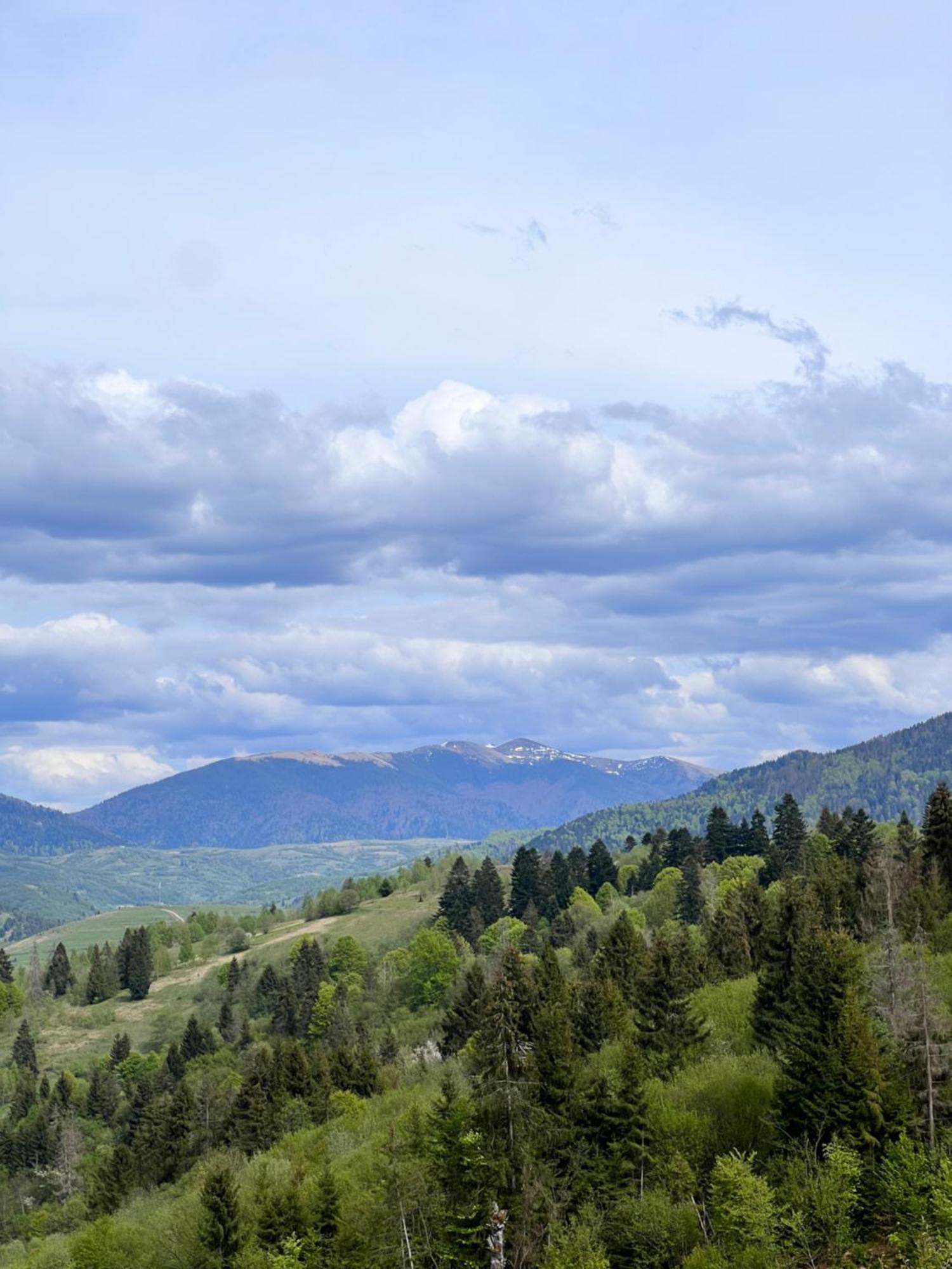 Садиба Between Mountains Mizhhirya  Dış mekan fotoğraf